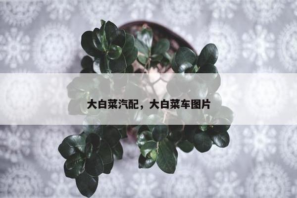 大白菜汽配，大白菜车图片