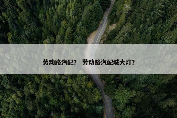 劳动路汽配？ 劳动路汽配城大灯？