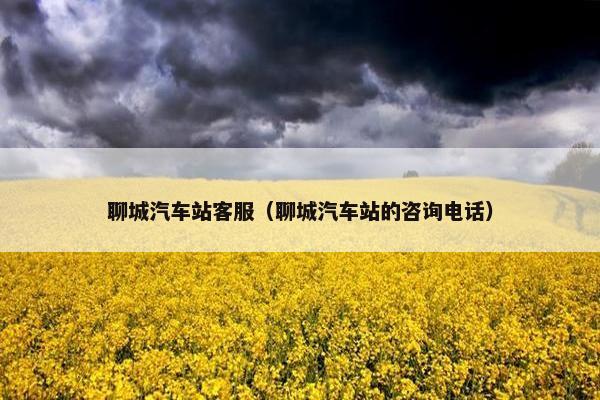 聊城汽车站客服（聊城汽车站的咨询电话）