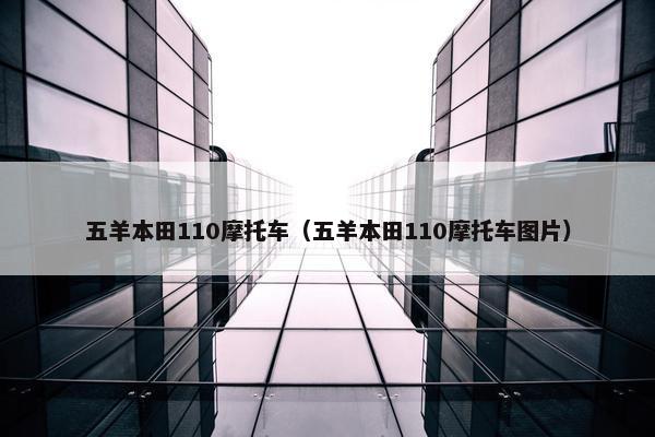 五羊本田110摩托车（五羊本田110摩托车图片）