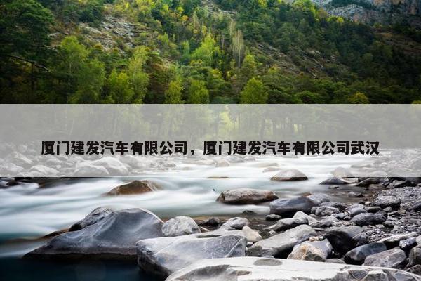 厦门建发汽车有限公司，厦门建发汽车有限公司武汉