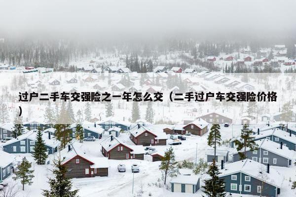过户二手车交强险之一年怎么交（二手过户车交强险价格）