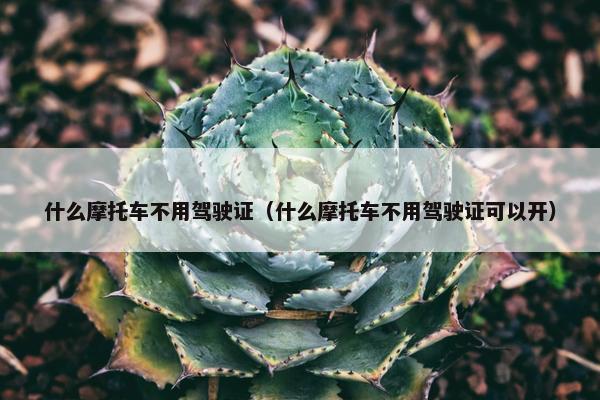 什么摩托车不用驾驶证（什么摩托车不用驾驶证可以开）