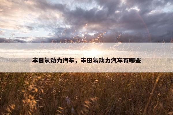 丰田氢动力汽车，丰田氢动力汽车有哪些