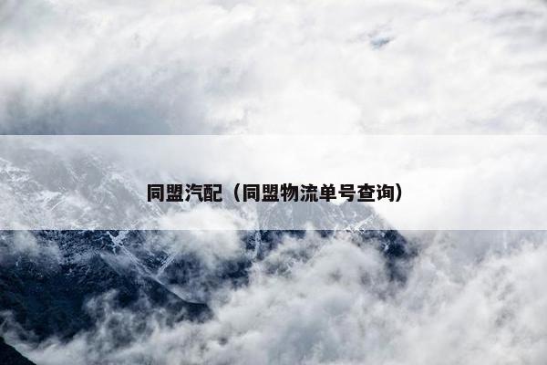 同盟汽配（同盟物流单号查询）
