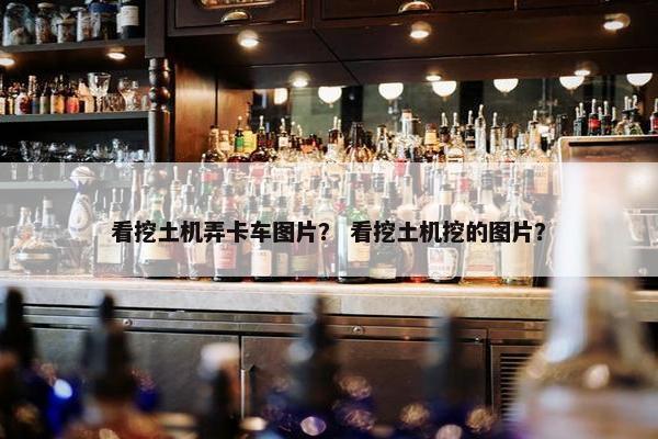 看挖土机弄卡车图片？ 看挖土机挖的图片？