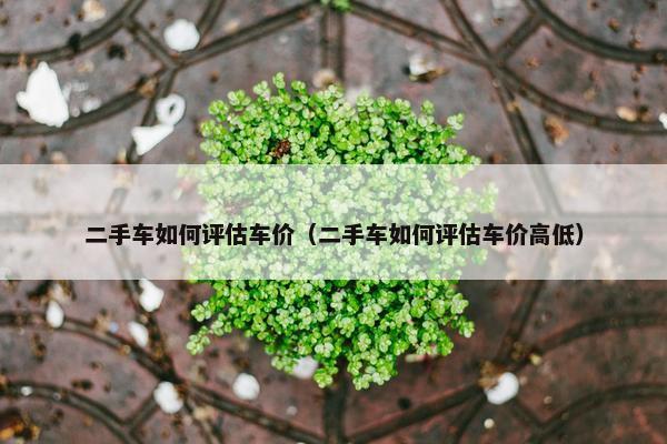 二手车如何评估车价（二手车如何评估车价高低）