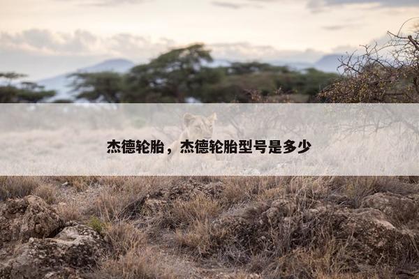杰德轮胎，杰德轮胎型号是多少