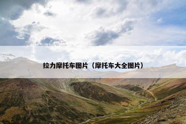拉力摩托车图片（摩托车大全图片）