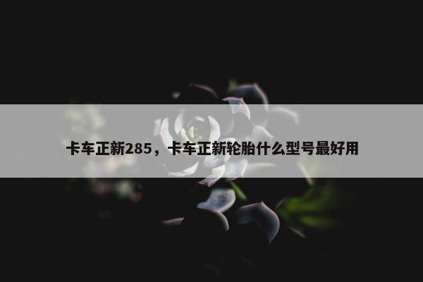 卡车正新285，卡车正新轮胎什么型号最好用