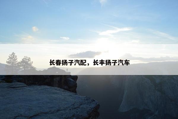 长春扬子汽配，长丰扬子汽车