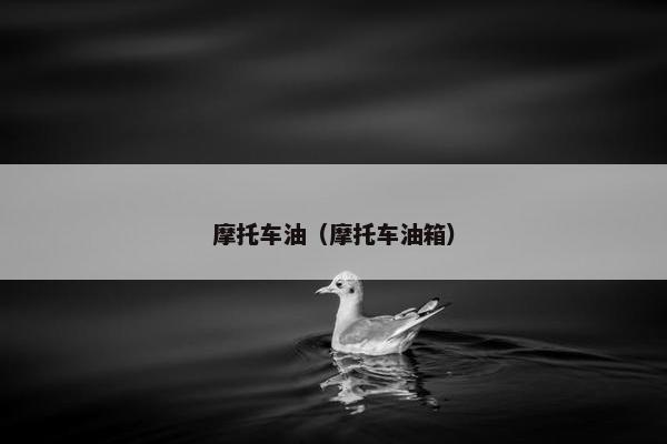 摩托车油（摩托车油箱）