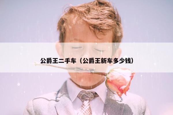公爵王二手车（公爵王新车多少钱）