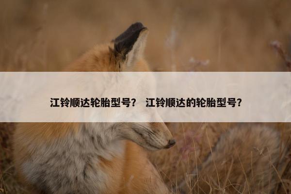 江铃顺达轮胎型号？ 江铃顺达的轮胎型号？