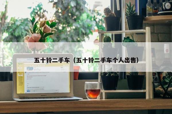 五十铃二手车（五十铃二手车个人出售）