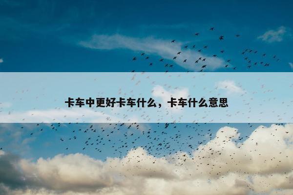 卡车中更好卡车什么，卡车什么意思