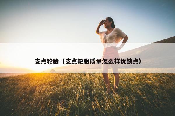 支点轮胎（支点轮胎质量怎么样优缺点）