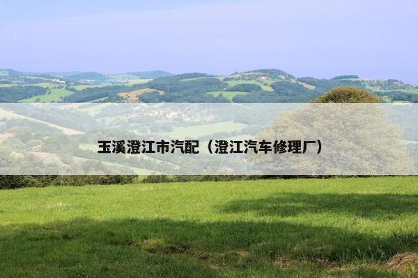 玉溪澄江市汽配（澄江汽车修理厂）