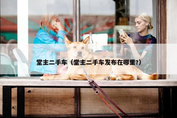 堂主二手车（堂主二手车发布在哪里?）