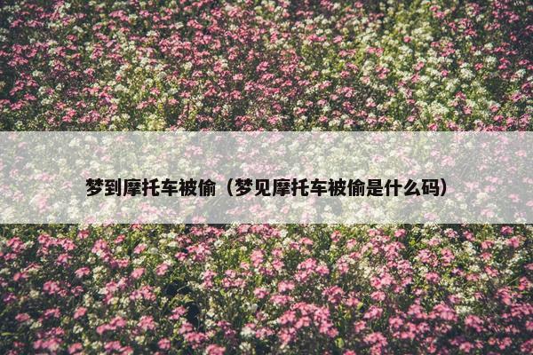 梦到摩托车被偷（梦见摩托车被偷是什么码）
