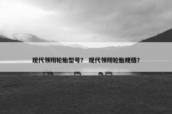 现代领翔轮胎型号？ 现代领翔轮胎规格？