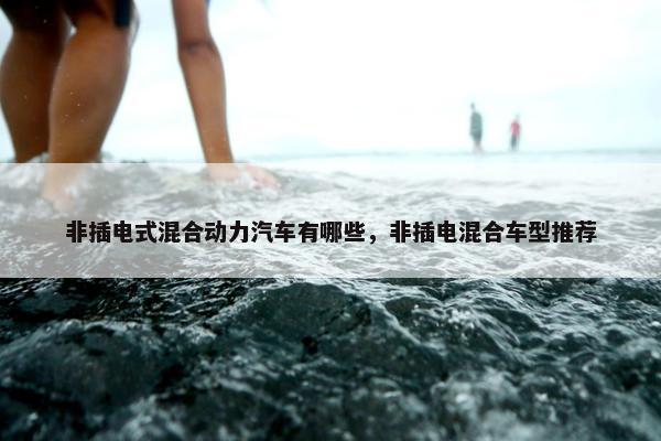非插电式混合动力汽车有哪些，非插电混合车型推荐