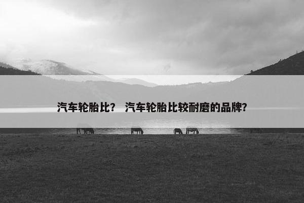 汽车轮胎比？ 汽车轮胎比较耐磨的品牌？