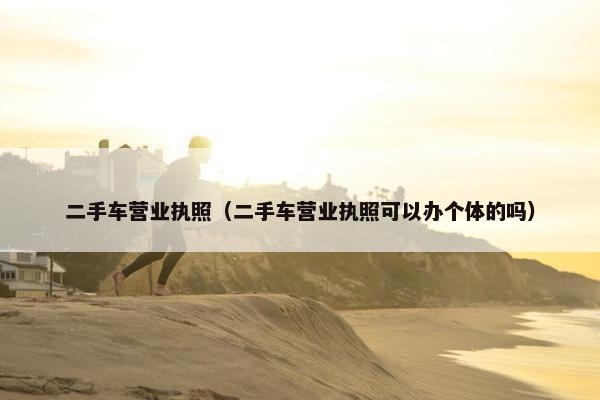 二手车营业执照（二手车营业执照可以办个体的吗）