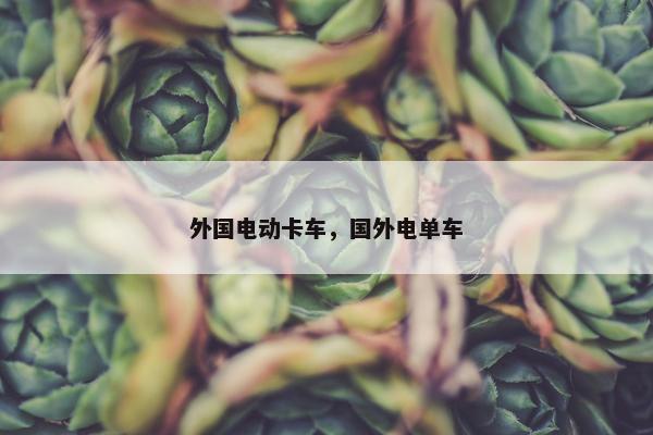 外国电动卡车，国外电单车