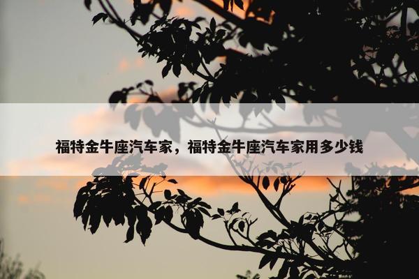 福特金牛座汽车家，福特金牛座汽车家用多少钱
