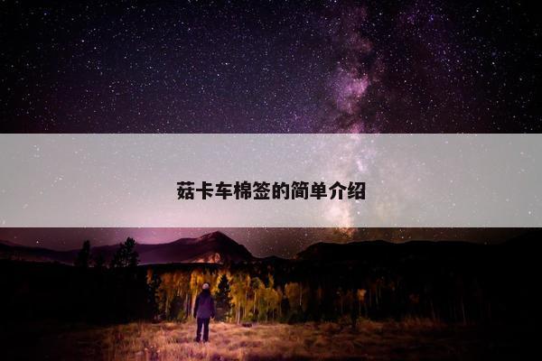 菇卡车棉签的简单介绍