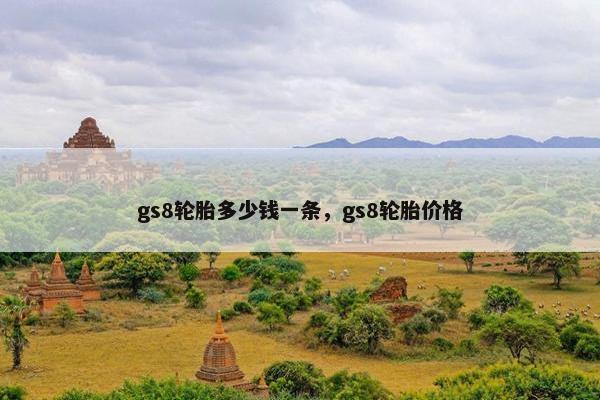 gs8轮胎多少钱一条，gs8轮胎价格