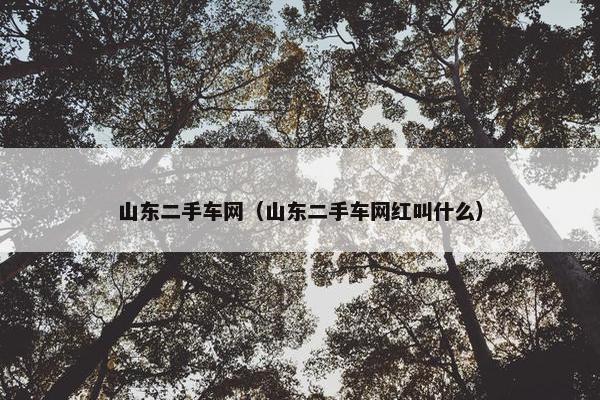 山东二手车网（山东二手车网红叫什么）