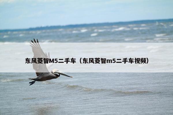 东风菱智M5二手车（东风菱智m5二手车视频）