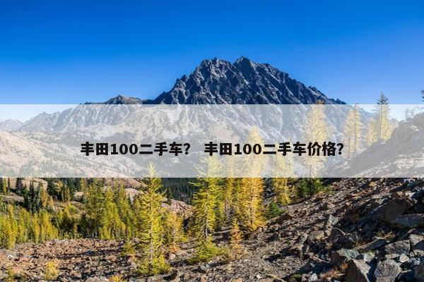 丰田100二手车？ 丰田100二手车价格？