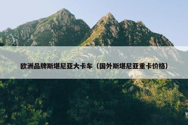 欧洲品牌斯堪尼亚大卡车（国外斯堪尼亚重卡价格）
