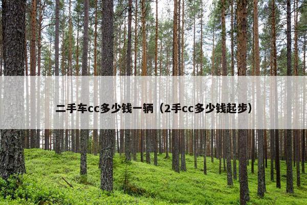 二手车cc多少钱一辆（2手cc多少钱起步）
