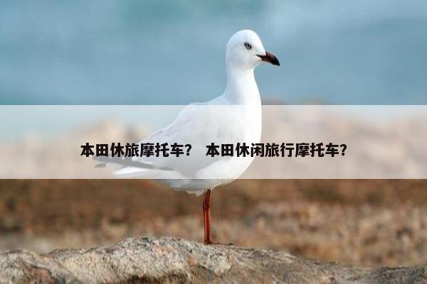 本田休旅摩托车？ 本田休闲旅行摩托车？