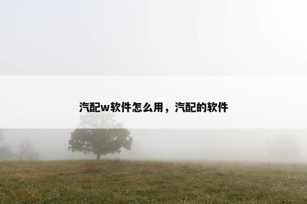 汽配w软件怎么用，汽配的软件