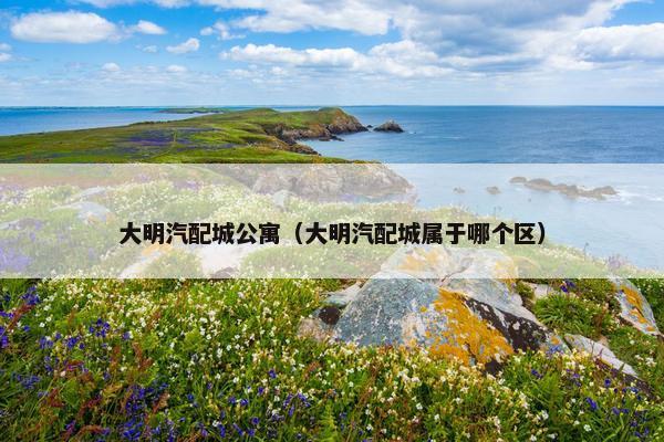 大明汽配城公寓（大明汽配城属于哪个区）