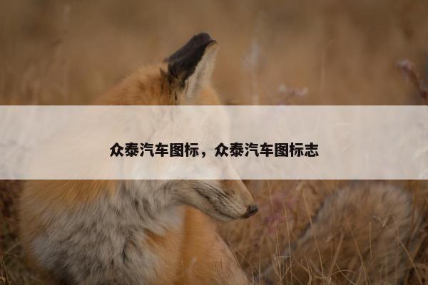 众泰汽车图标，众泰汽车图标志