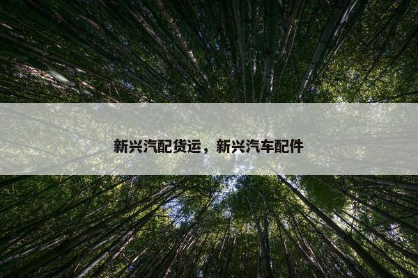 新兴汽配货运，新兴汽车配件