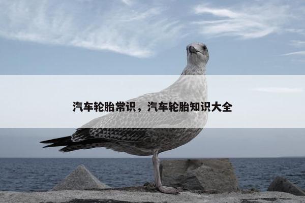 汽车轮胎常识，汽车轮胎知识大全