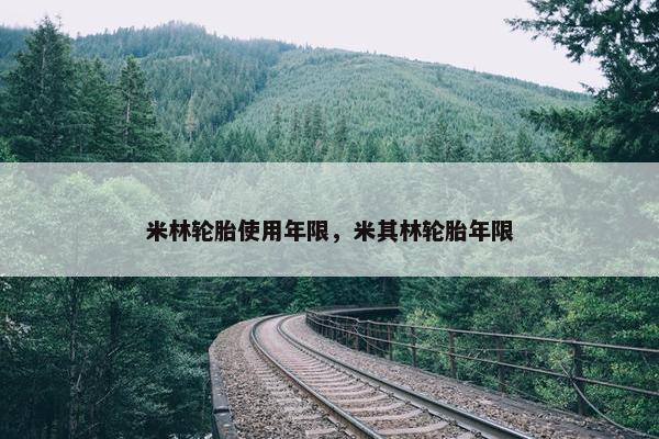 米林轮胎使用年限，米其林轮胎年限