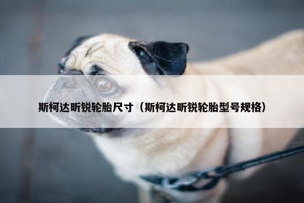 斯柯达昕锐轮胎尺寸（斯柯达昕锐轮胎型号规格）