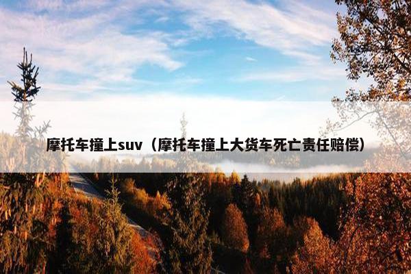 摩托车撞上suv（摩托车撞上大货车死亡责任赔偿）