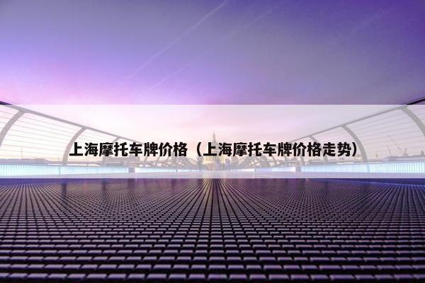 上海摩托车牌价格（上海摩托车牌价格走势）