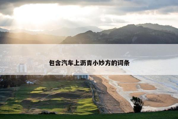 包含汽车上沥青小妙方的词条