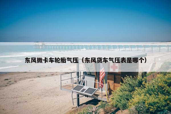 东风微卡车轮胎气压（东风货车气压表是哪个）