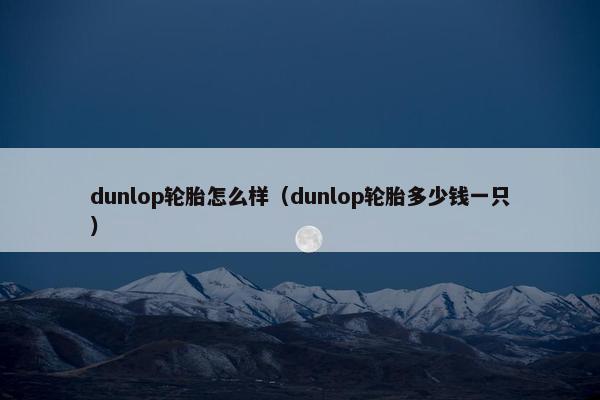 dunlop轮胎怎么样（dunlop轮胎多少钱一只）